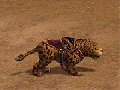 Leopardo Giallo animazione.gif